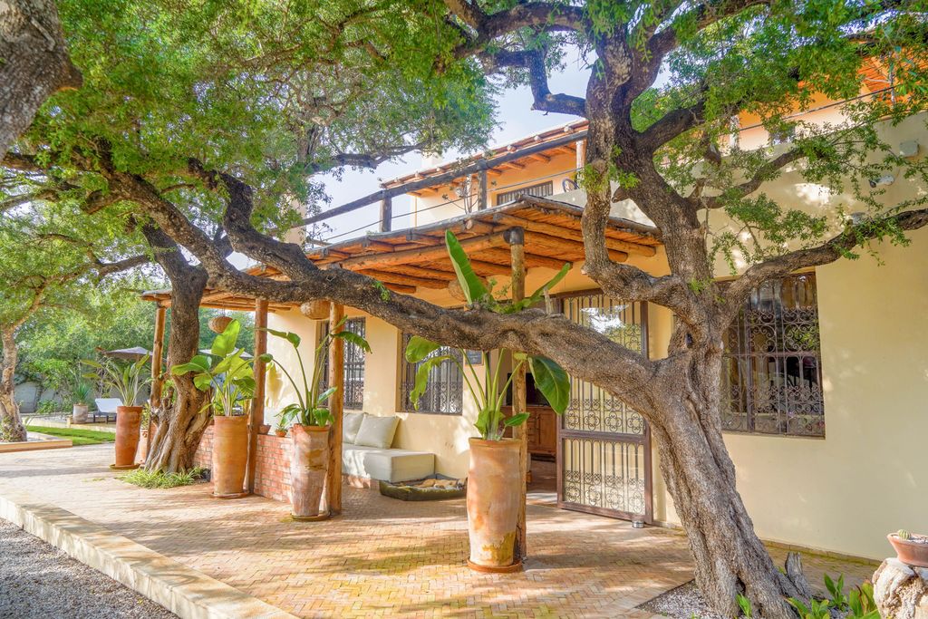 Chambre Jardin — 34